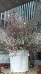 120323_062427.jpg