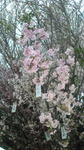 120323_062643.jpg