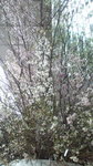 120323_062731.jpg