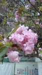120323_062845.jpg